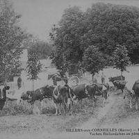 Villiers-aux-Corneilles