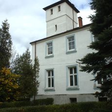 Pałac, Brzozowa 2 w Steblowie