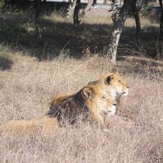 Lahore Zoo