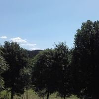 Saint-Léger-du-Malzieu