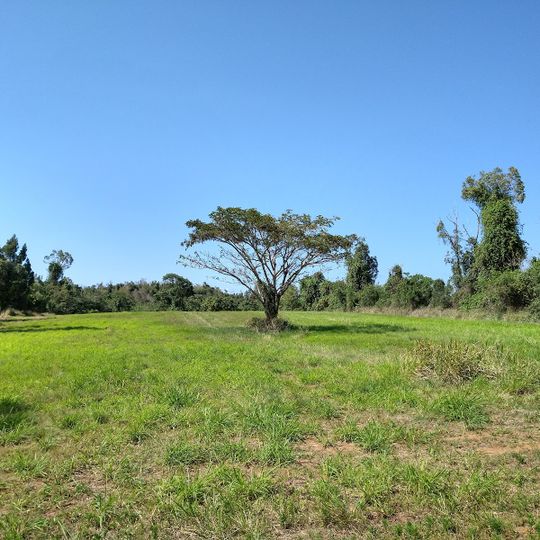 Cambalache State Forest