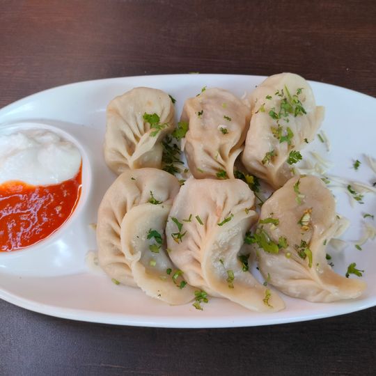 Joshi's Museum of Miniature Railway