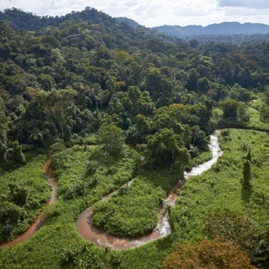 Gracias a Dios Department