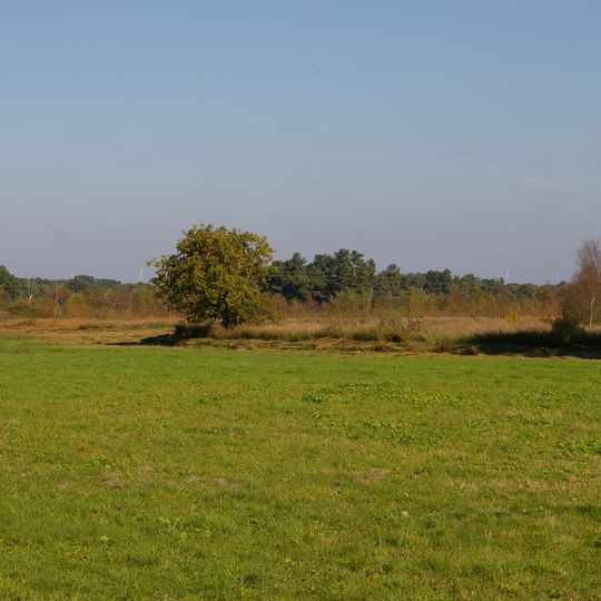 Großes Renzeler Moor