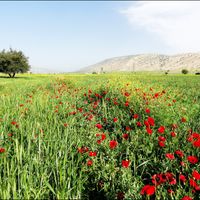 shahrestān di Basht