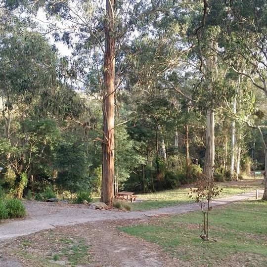 Agnes Falls Scenic Reserve