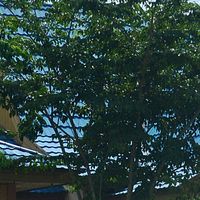 Reggenza di Kotabaru