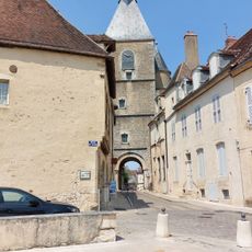Grenouille d'Avallon