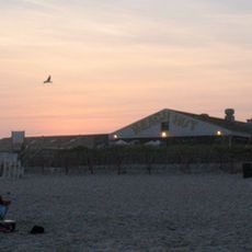 Smith Point County Park