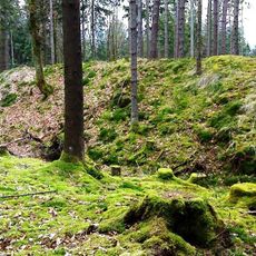 Burgstall Siedelberg