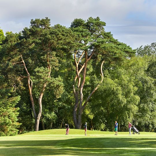 Golf des Ajoncs d'or