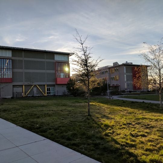 The Nueva School