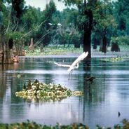 Insectari e centri di natura per osservare piccole creature
