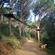 Parc Forestal