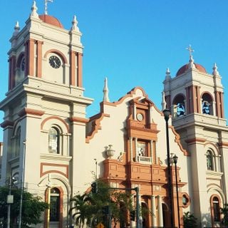 San Pedro Sula Cathedral barby