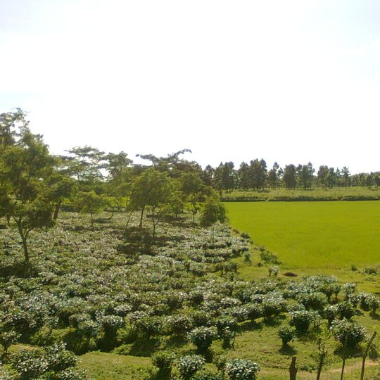 Distretto di Goalpara