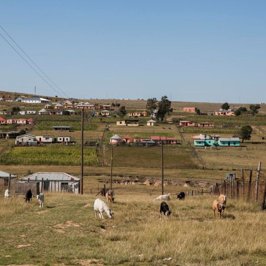 Qunu