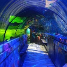Sea Life Brighton