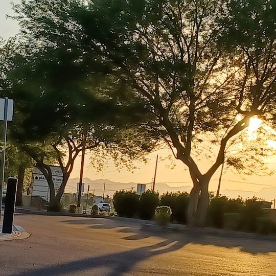 Tolleson