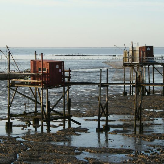 Réserve naturelle nationale de la baie de l'Aiguillon