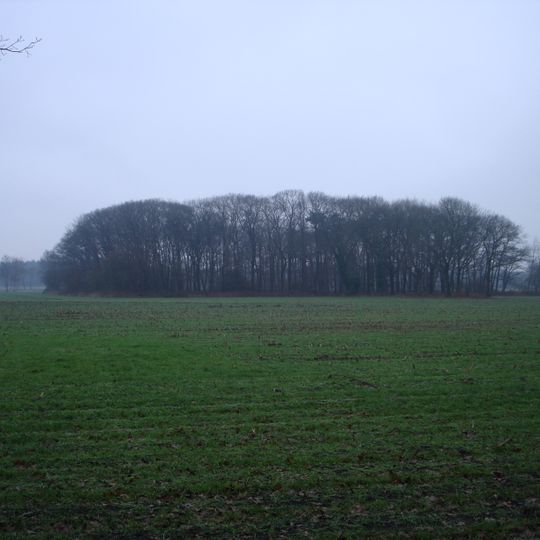 Particuliere begraafplaats Wiegersma