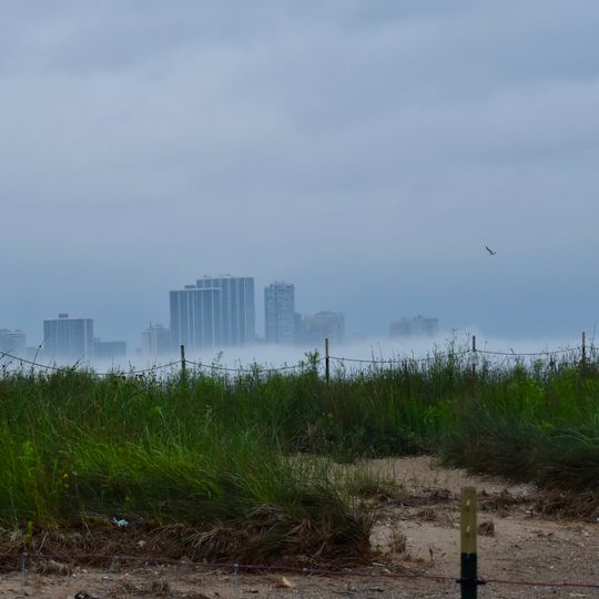 Montrose Beach Dunes Natural Area