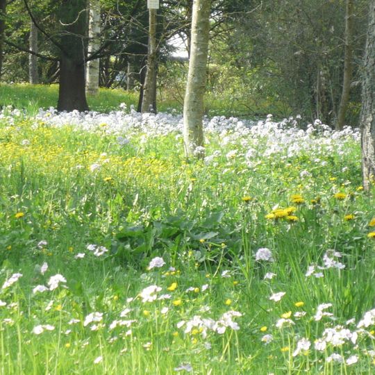 Arboreto di Montmorency