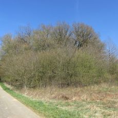 NSG Wunderwaeldchen (VO)