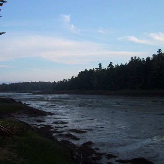 Cobscook Bay State Park