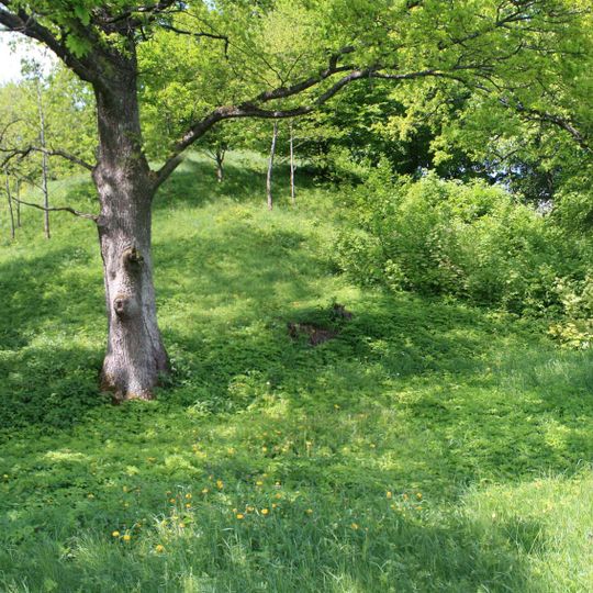 Jaučakių piliakalnis