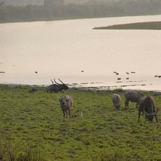 Parque nacional de Indravati