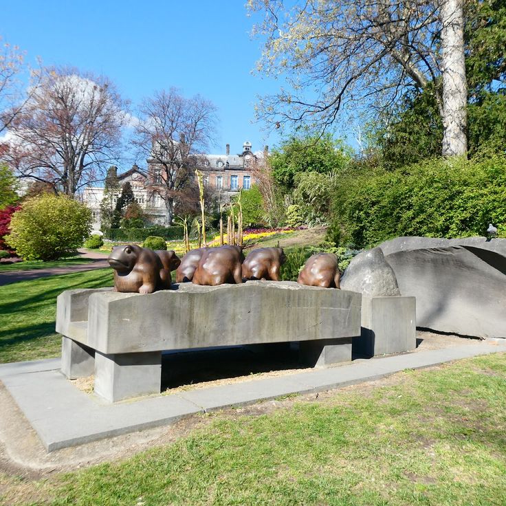 La Mémoire des crapauds