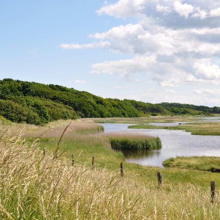 Riserva Naturale di Geltinger Birk