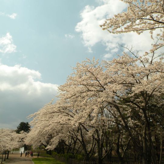 Hachinohe Park