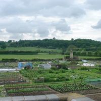 Newcastle-under-Lyme