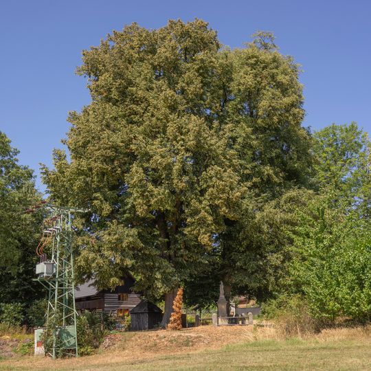 Lípy v Malé Lhotě