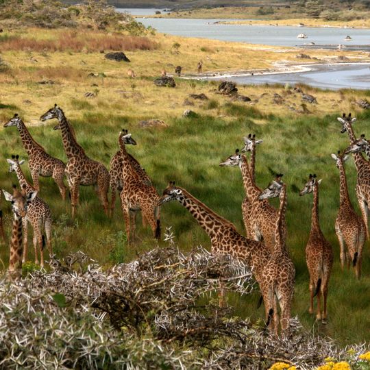 Parco nazionale di Arusha