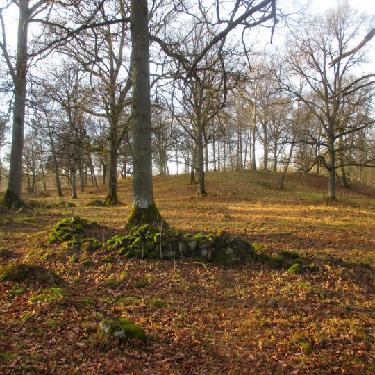 Väsmestorps naturreservat