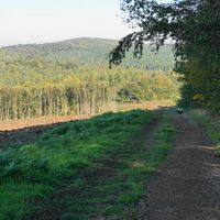 Cannock Chase
