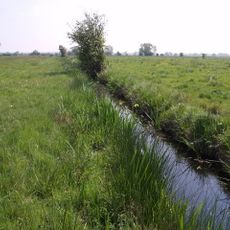North Moor