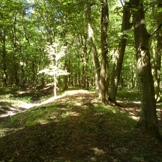 Nature reserve Bielawy