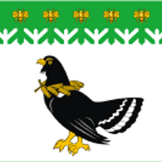 Mari-Tureksky District