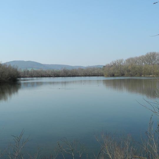 Schwimmkaute bei Mehlen