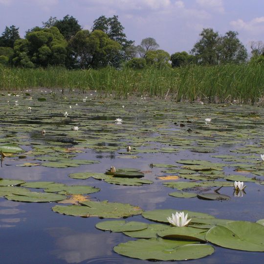 Parc national de Hetman