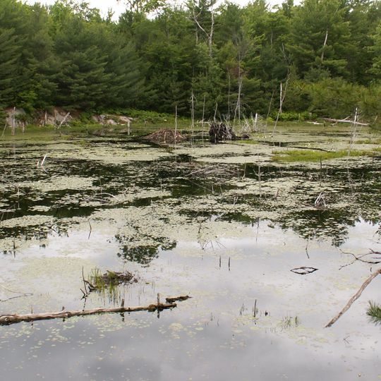 Parc provincial Six Mile Lake