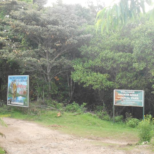 Anamudi Shola National Park