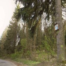 Obrázek Panny Marie u Velkých Losin