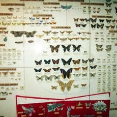 Зоологический музей Луганского университета