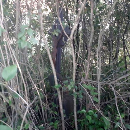 Kříž u Bendova Záhoří