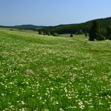 Horská louka u Háje